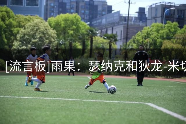 [流言板]雨果：瑟纳克和狄龙-米切尔都超爱竞争，他们的防守令人惊叹